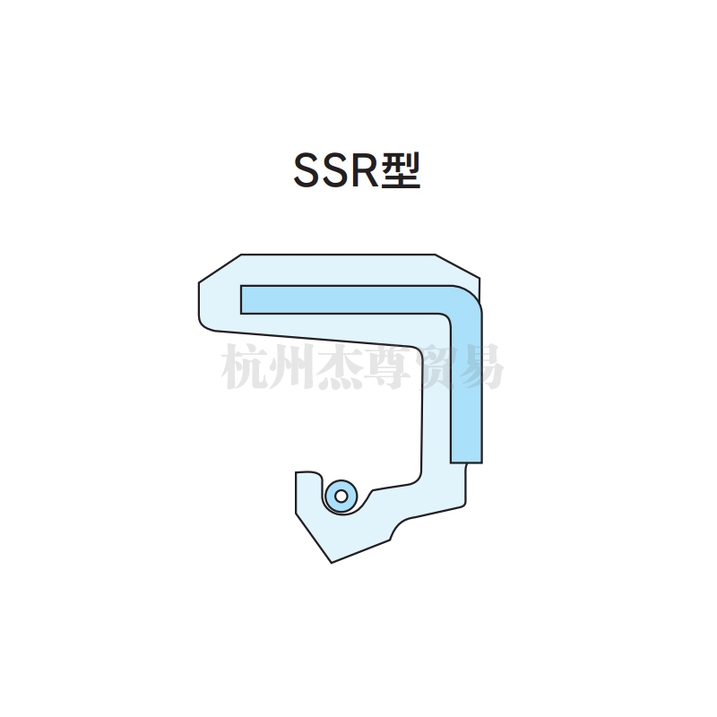 杭州NDK油封 SSR型