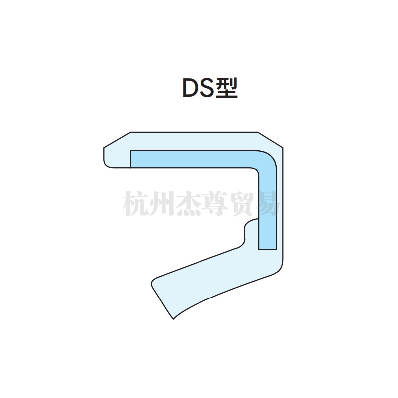 海南NDK油封 DS/DSR型