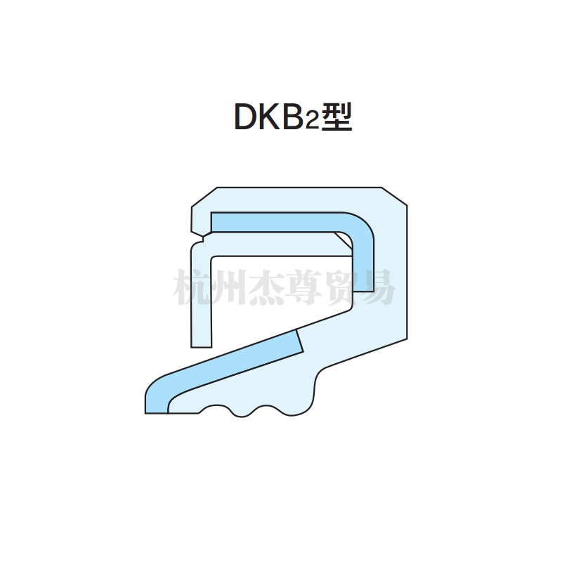 衡水NDK油封 DKB2型